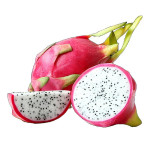 WHOLESALE WORLD FRESH DRAGON PITAYA WHITE DRAGON FRUIT